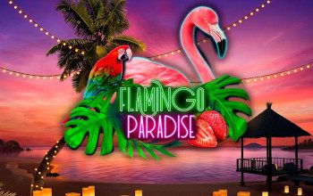 Flamingo Paradise